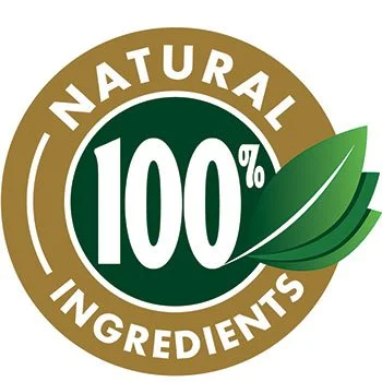 RhythmONE all natural vegan ingredients